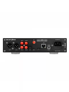   AUDALYTIC DR70N - Asztali R2R DAC és streamer DLNA AirPlay Roon 32bit 768kHz DSD512 - Fekete
