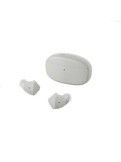   FINAL AUDIO ZE2000 - Teljesen vezeték nélküli (TWS) In-ear fülhallgató Bluetooth 5.2 aptX Adaptive IPX4 - Hamu szürke