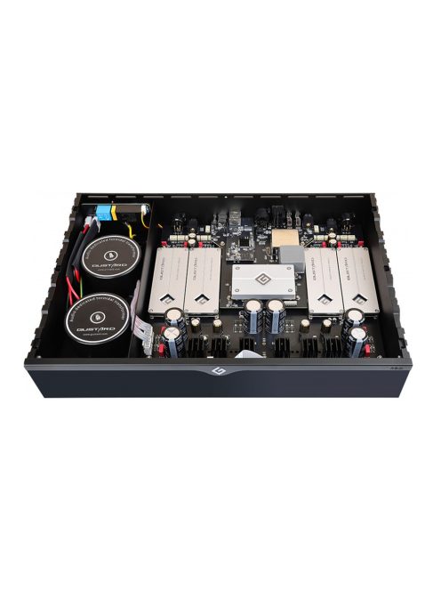 GUSTARD R30 - High-end asztali network streamer és diszkrét R2R DAC I2S LAN AirPlay Roon Spotify 32bit 1536kHz DSD1024 - Fekete