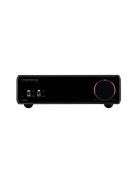 TOPPING PA5 - Szimmetrikus D-osztályú asztali sztereó erősítő 2x125W - Fekete