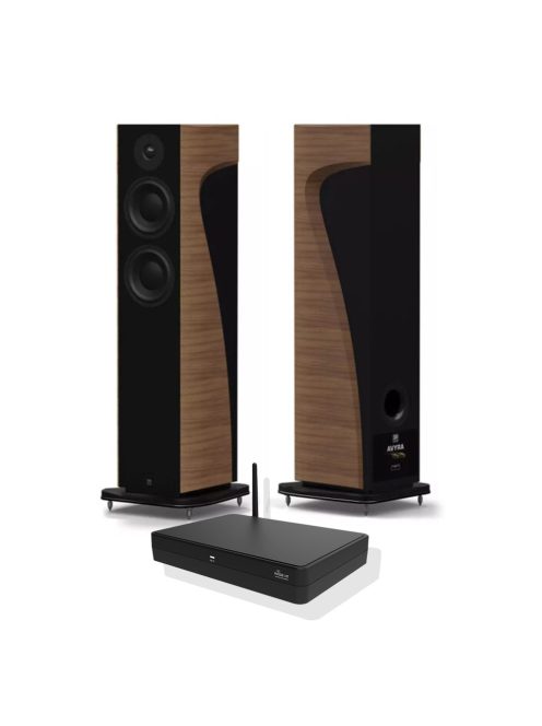 MOREL AVYRA 633W WALNUT + WISA STEREO HUB HT PACKAGE