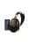 SIVGA AUDIO PENG + SHANLING UA6 BLACK PACKAGE