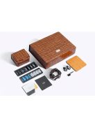 SHANLING AE10 - Tíz BA meghajtós High-End In-ear monitor fülhallgató 2-Pin kábellel