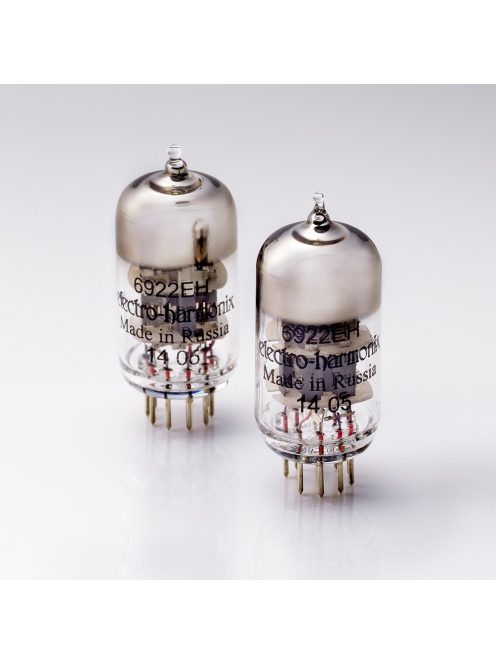 STAX SRM-T8000 AMPLIFIER - High-end asztali erősítő STAX és más elektrosztatikus fejhallgatóhoz - Ezüst